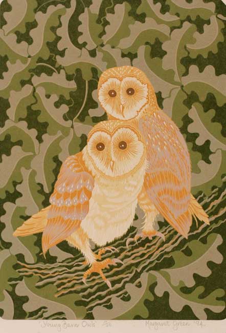 Margaret Green, Young Barn Owls